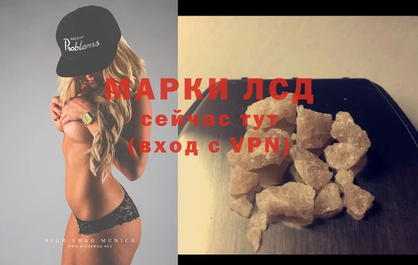 гашик Гусь-Хрустальный