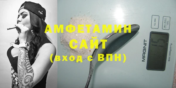 гашик Гусь-Хрустальный