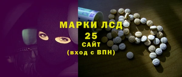 гашик Гусь-Хрустальный