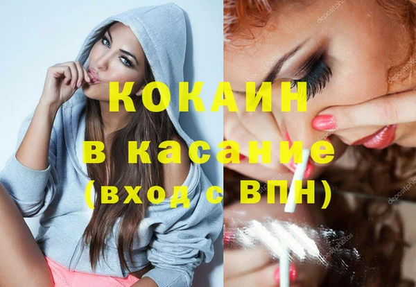 гашик Гусь-Хрустальный