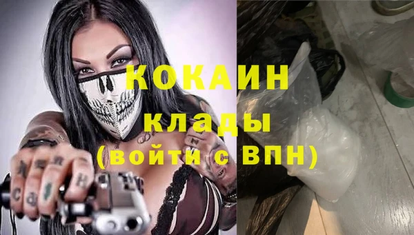 гашик Гусь-Хрустальный