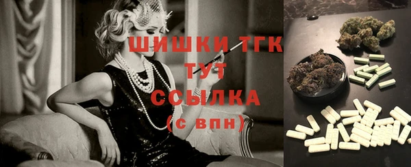 гашик Гусь-Хрустальный